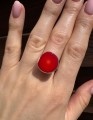 IMG_4779.jpeg