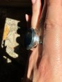 IMG_8497.jpeg