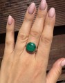 IMG_4413.jpeg