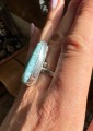 IMG_9176.jpeg