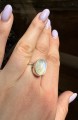 IMG_9259.jpeg