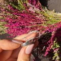 IMG_0408.jpeg