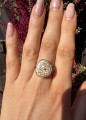 IMG_1382.jpeg