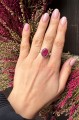 IMG_2010.jpeg