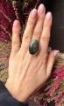 IMG_2029.jpeg