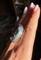 IMG_8499.jpeg